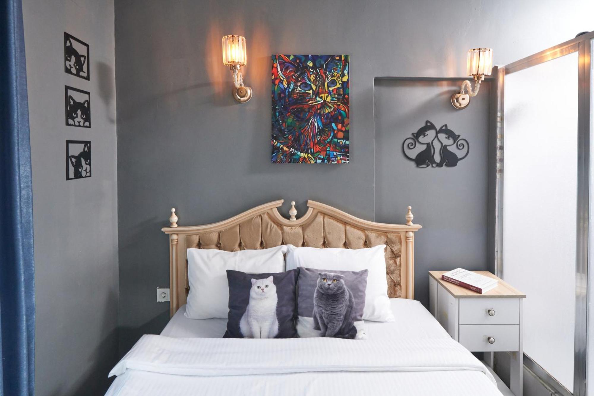 Galata Pearl 3* Provincia di Istanbul
